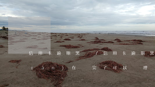 信用卡逾期黑戶了(信用卡逾期黑戶了,現(xiàn)在還完了,可以辦理營(yíng)業(yè)執(zhí)照嗎?)