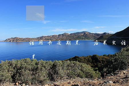 信用卡逾期黑戶后果(欠信用卡會(huì)黑戶嗎)