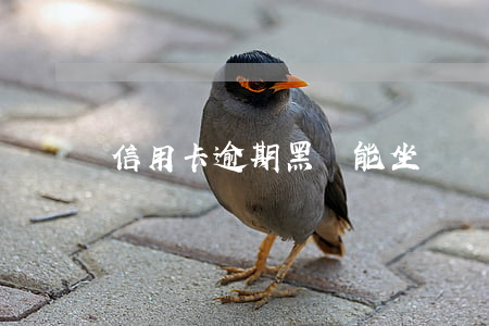 信用卡逾期黑戶能坐動車嗎(逾期黑戶能坐火車嗎)