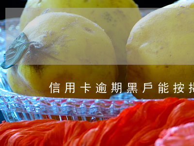 信用卡逾期黑戶能按揭車嗎