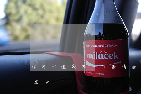 信用卡逾期黑户了能消除吗（信用卡逾期就是黑户）