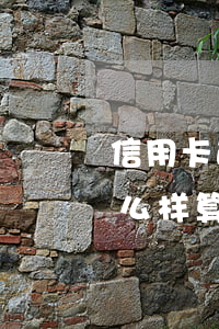 信用卡逾期黑户怎额贷款(信用卡逾期征信怎么样算黑户)