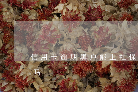 信用卡逾期黑户能上社保么(欠信用卡会黑户吗)