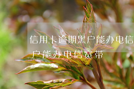 信用卡逾期黑户能办电信宽带 信用卡逾期黑户能办电信宽带