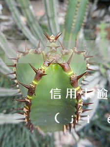 信用卡逾逾期被凍結(jié)了(逾期凍結(jié)的信用卡怎么解凍)