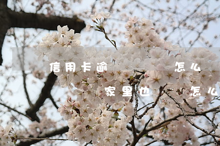 信用卡逾錢沒錢還怎么辦(信用卡逾期真的是沒錢還家里也沒錢怎么辦)