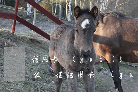信用卡過(guò)5萬(wàn)逾期怎么處理(信用卡過(guò)5萬(wàn)逾期怎么處理)