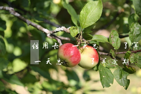 信用卡過一天忘記還了算逾期嗎-信用卡過一天忘記還了算逾期嗎怎么辦