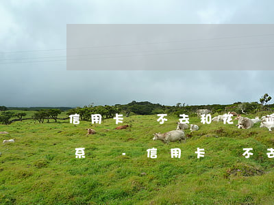 信用卡過不去和花唄逾期有關(guān)系嗎-信用卡過不去和花唄逾期有關(guān)系嗎怎么辦