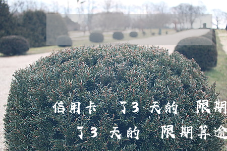 信用卡過了3天的寬限期算逾期嗎-信用卡過了3天的寬限期算逾期嗎怎么辦