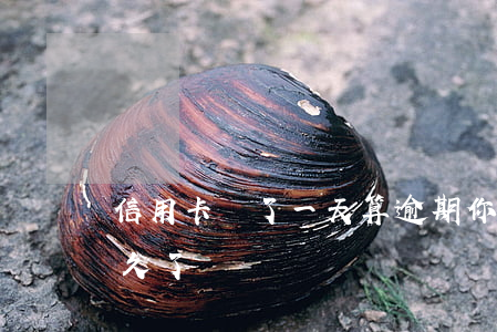 信用卡過了一天算逾期(你們的信用卡逾期多久了)