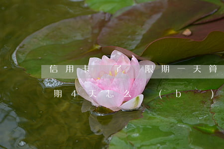 信用卡過了寬限期一天算逾期嗎-信用卡逾期4天怎么補(bǔ)救