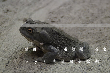 信用卡過了有效期還有逾期記錄(曾經(jīng)有信用卡逾期記錄影響)