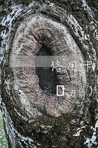 信用卡過了當(dāng)天12點(diǎn)就算逾期(信用卡過了當(dāng)天12點(diǎn)就算逾期嗎)