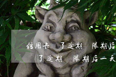 信用卡過了逾期寬限期后一天還款-信用卡過了逾期寬限期后一天還款有影響嗎