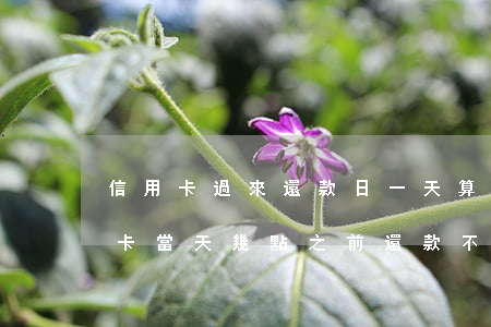 信用卡過來還款日一天算逾期嗎(還款日信用卡當天幾點之前還款不算逾期)