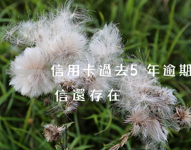 信用卡過去5年逾期 5年前的信用卡逾期征信還存在