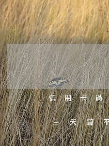 信用卡過幾天還款算逾期(過了信用卡還款日三天算不算逾期)