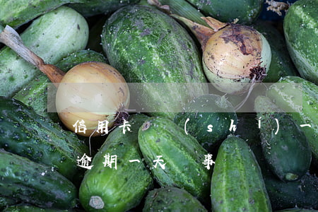 信用卡過時(shí)一天算逾期嗎(信用卡逾期一天礙事嗎)