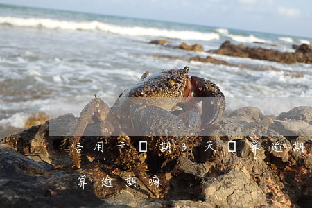 信用卡過期3天會算逾期(信用卡過期3天會算逾期嘛)