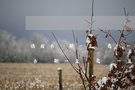 信用卡過期一直沒更換一直逾期還款-信用卡過期一直沒更換一直逾期還款會怎么樣