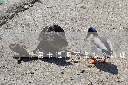 信用卡過期不還怎么辦理