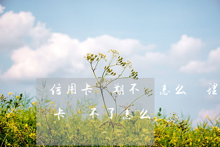 信用卡過期不還怎么辦理嗎(身份證過期信用卡還不了怎么辦)