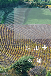 信用卡過期不還款怎么辦(信用卡逾期不還怎么辦)