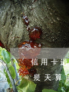 信用卡過賬單日幾天算逾期(信用卡過賬單日幾天算逾期)