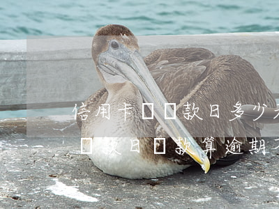 信用卡過還款日多少天算逾期 在信用卡最后還款日還款算逾期不