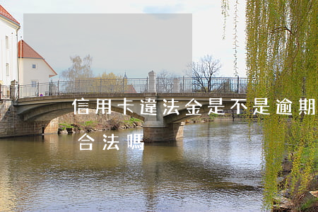 信用卡違法金是不是逾期(信用卡逾期違約金合法嗎)