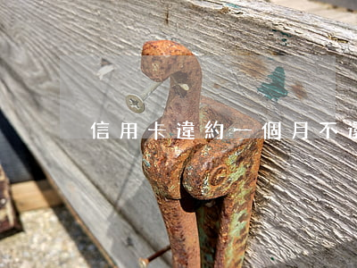 信用卡違約一個月不還錢