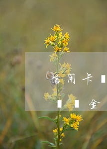 信用卡違約金利息能不還嗎(提前還信用卡有違約金嗎)