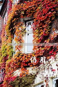 信用卡違約金和利息逾期多久不收(被拘留期間信用卡逾期的利息違約金)