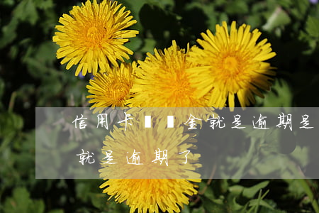 信用卡違約金就是逾期是嗎(有違約金是不是就是逾期了)