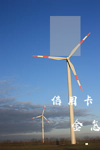 信用卡違約金怎么協(xié)商(信用卡違約金怎么協(xié)商)