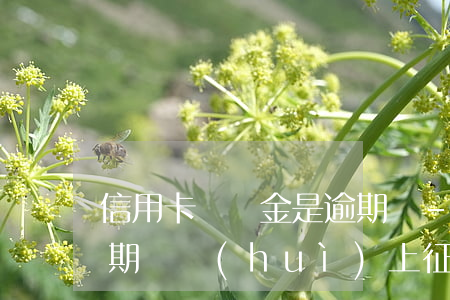信用卡違約金是逾期嗎-信用卡違約金是逾期嗎?會(huì)上征信嗎