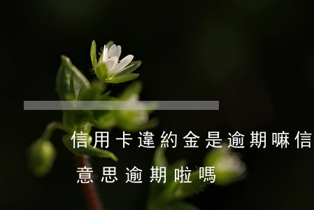 信用卡違約金是逾期嘛(信用卡違約金是什么意思逾期啦嗎)