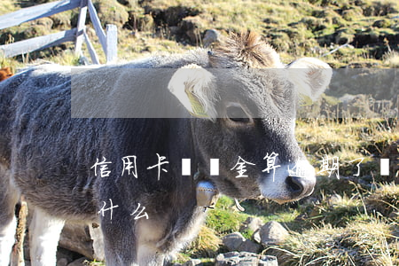 信用卡違約金算逾期了嗎(逾期還款違約金是什么)