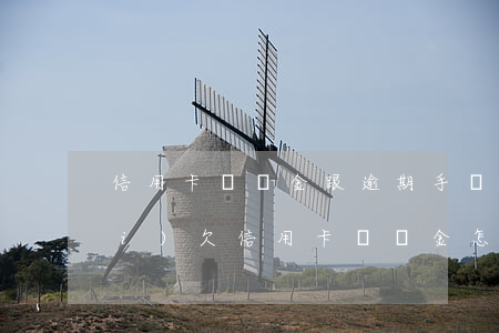 信用卡違約金跟逾期手續(xù)費(fèi)(欠信用卡違約金怎么算)