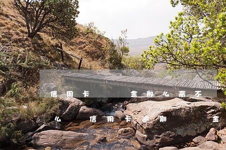 信用卡違約金那么高不還了會(huì)怎么樣(信用卡逾期,違約金太高,有什么辦法嗎)