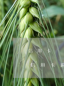 信用卡遲一個(gè)禮拜算逾期嗎(有沒有信用卡逾期半年的)