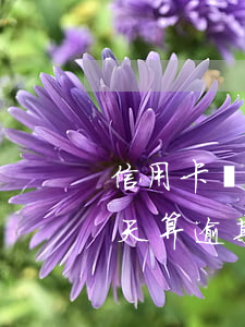 信用卡遲一天還算是逾期嗎(還信用卡晚了一天算逾期嗎)