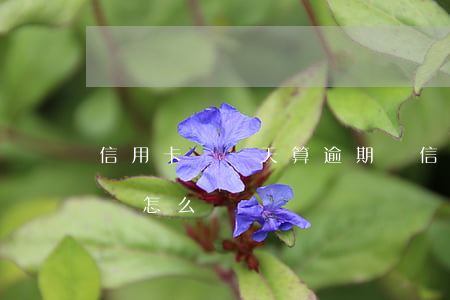 信用卡遲幾天算逾期嗎(信用卡遲幾天算逾期嗎怎么辦)