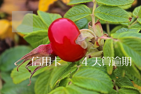 信用卡遲還4天算逾期嗎