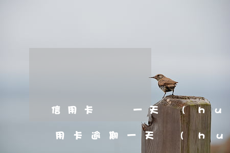 信用卡遲還一天會(huì)逾期嗎-還信用卡逾期一天會(huì)怎么樣