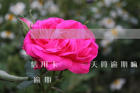 信用卡遲還一天算逾期嘛(信用卡遲還兩天算逾期嗎)