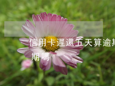 信用卡遲還五天算逾期嗎(信用卡晚5天算逾期嗎)