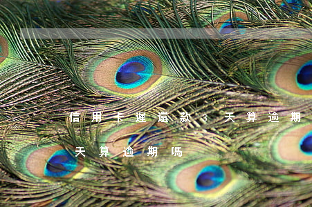 信用卡遲還款3天算逾期-還信用卡晚了兩天算逾期嗎
