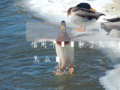 信用卡遲還款了怎么辦(信用卡還款遲了一周怎么辦)